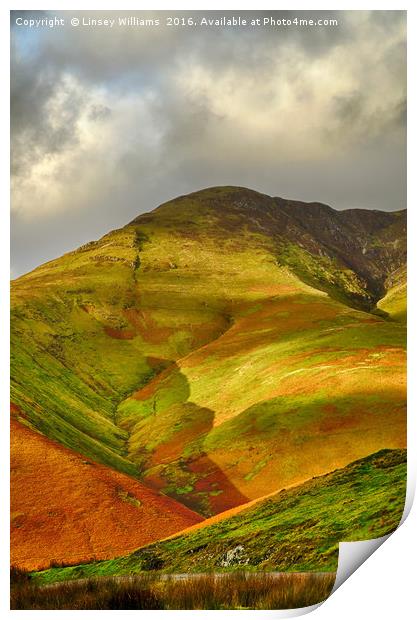 Whiteless Pike, Cumbria Print by Linsey Williams