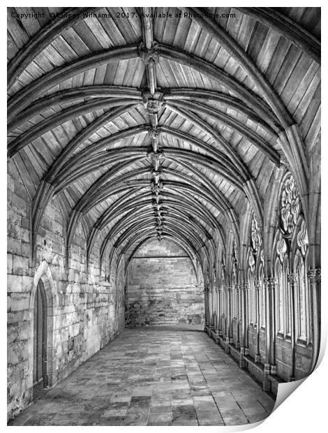 Lincoln Cathedral Cloisters Print by Linsey Williams