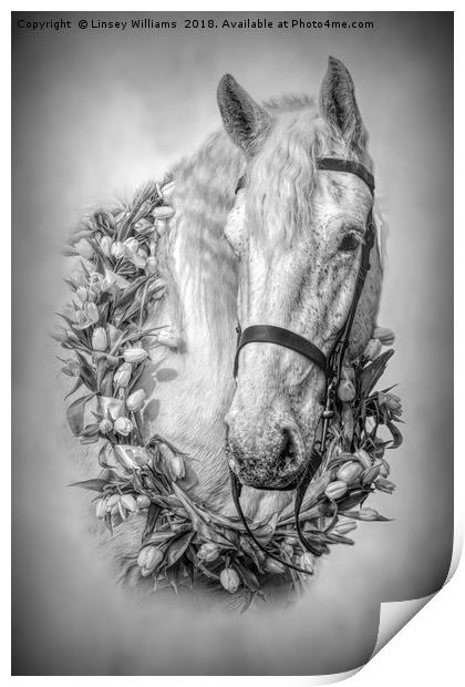 Horse 3 Print by Linsey Williams