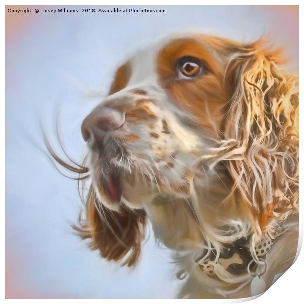 English Springer Spaniel  Print by Linsey Williams