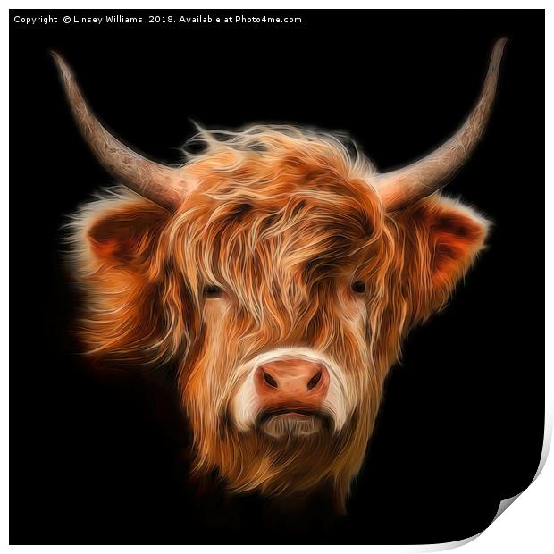 Highland Cow. Print by Linsey Williams