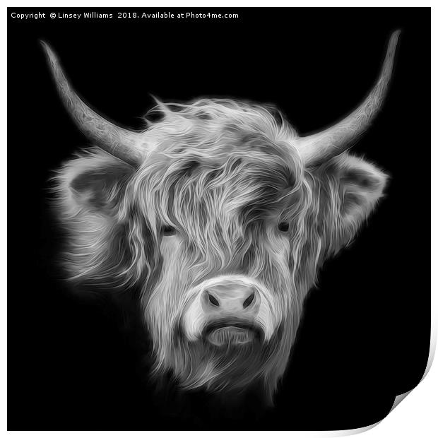 Highland Cow in Black and White Print by Linsey Williams