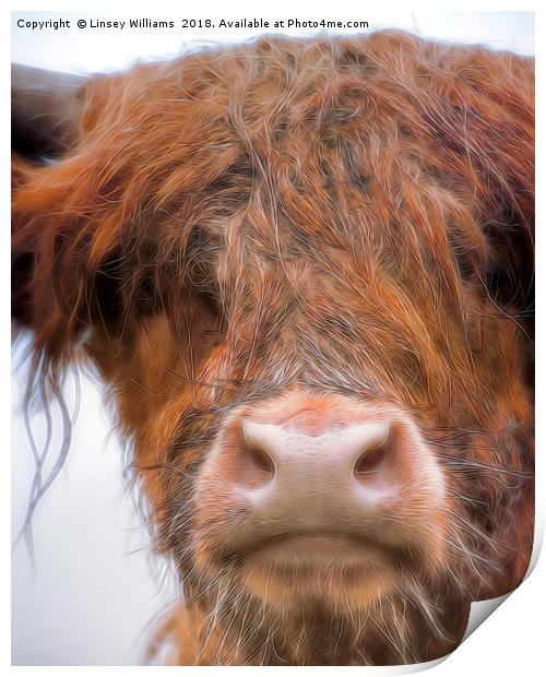 Bad Hair Day Coo Print by Linsey Williams