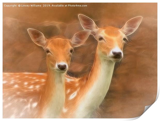 Two Fallow Deer Print by Linsey Williams