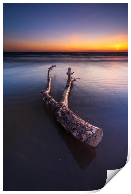Driftwood on the Berrow beach  Print by J.Tom L.Photography