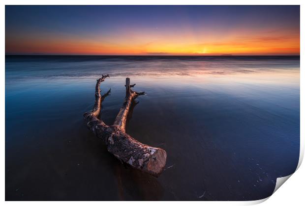 Berrow beach Driftwood...  Print by J.Tom L.Photography