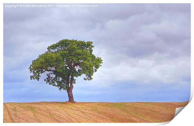 The Lone Tree Print by Keith Mountford