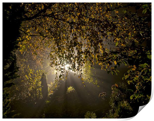 Evening Mist Print by Iain Mavin