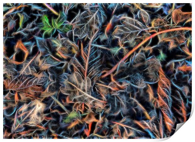 Abstracted Leaves Print by Iain Mavin
