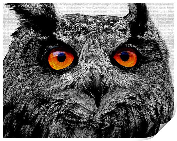 OWL - YOU'RE THE ORANGE OF MY EYES Print by CATSPAWS 