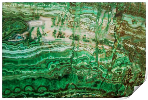 MINERAL BEAUTY - MALACHITE Print by CATSPAWS 