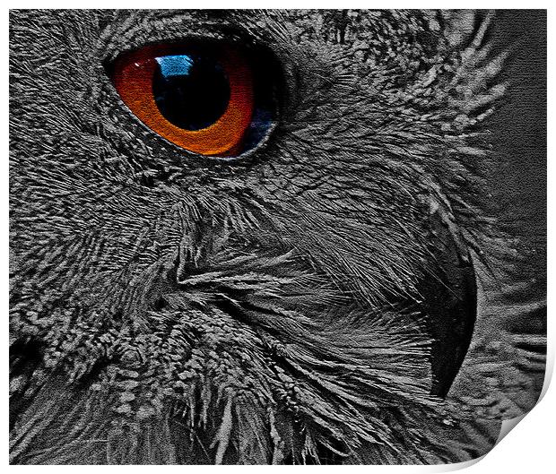 ORANGE EYE 2 Print by CATSPAWS 