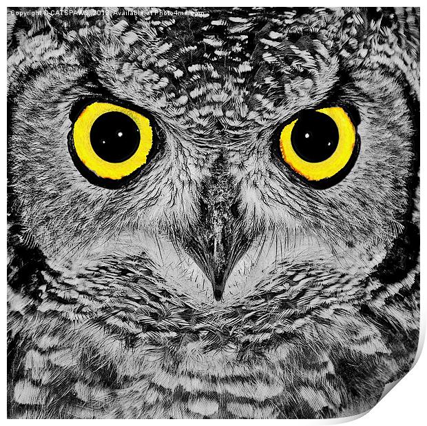 OWL PORTRAIT Print by CATSPAWS 