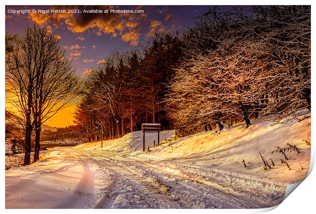  Snowy Sunrise Print by Nigel Hatton