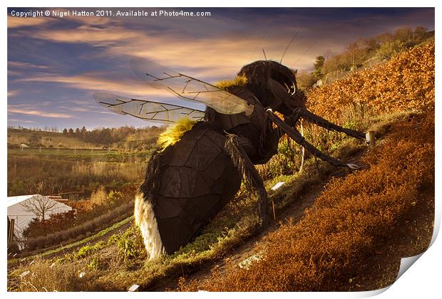 Big Bee Print by Nigel Hatton