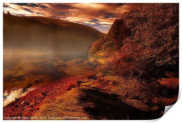 Ouzelden Brook Print by Nigel Hatton