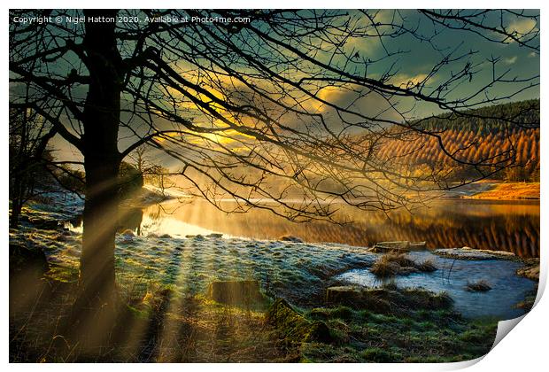 Cold Morning Print by Nigel Hatton