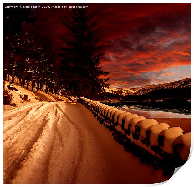 Snow Tracks Print by Nigel Hatton
