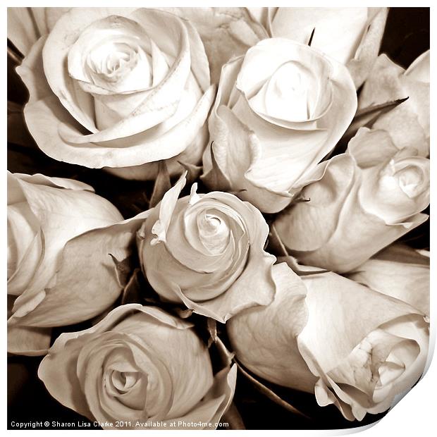 JUST ROSES Print by Sharon Lisa Clarke