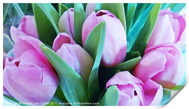 Pink Tulips Print by Sharon Lisa Clarke
