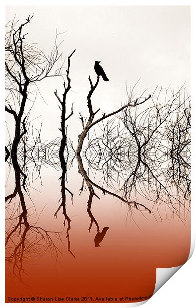 Perched Print by Sharon Lisa Clarke
