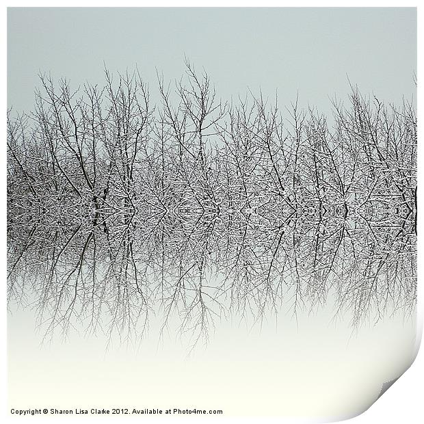 Winter tree tops Print by Sharon Lisa Clarke