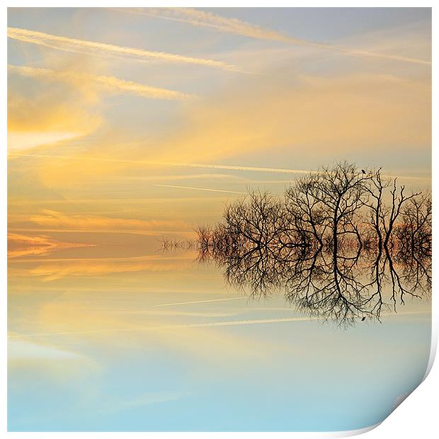 Heavenly branches Print by Sharon Lisa Clarke