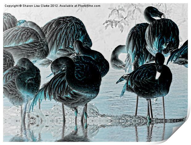 Exotic Flamingos Print by Sharon Lisa Clarke