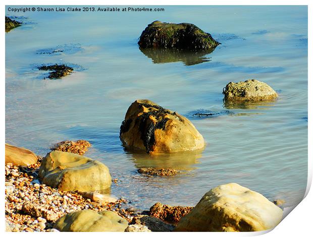 Stepping Stones Print by Sharon Lisa Clarke