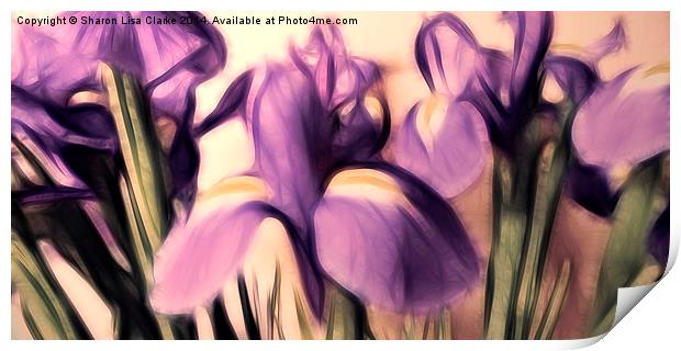 Soft iris Print by Sharon Lisa Clarke