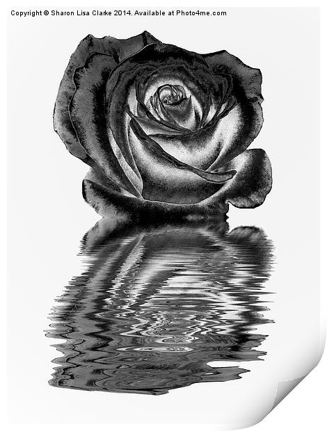 Chrome rose Print by Sharon Lisa Clarke