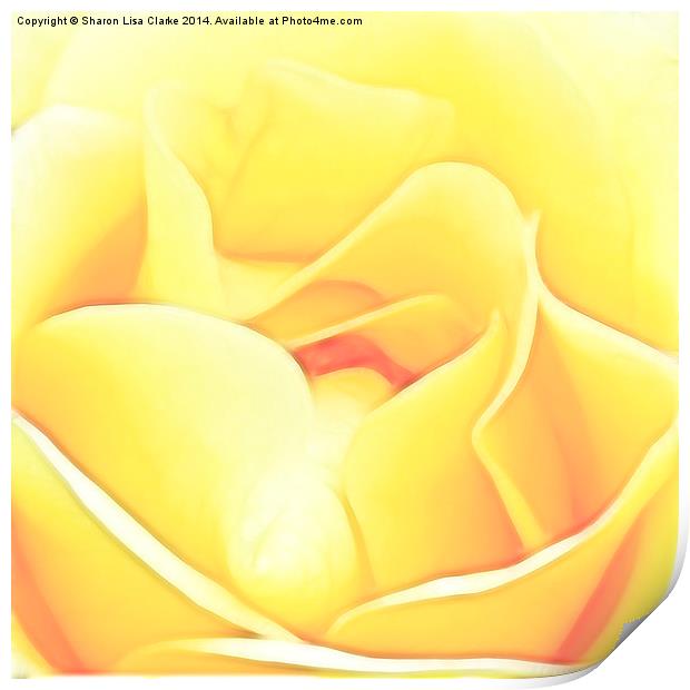 Soft Yellow Rose Print by Sharon Lisa Clarke