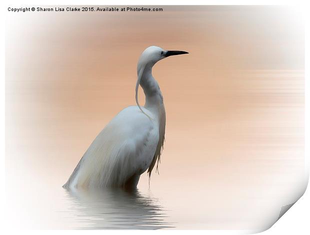  The Water Bird Print by Sharon Lisa Clarke