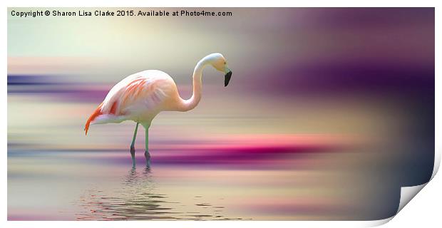  Flamingo Skies 2 Print by Sharon Lisa Clarke