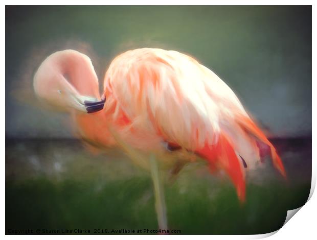 Flamingo blur Print by Sharon Lisa Clarke