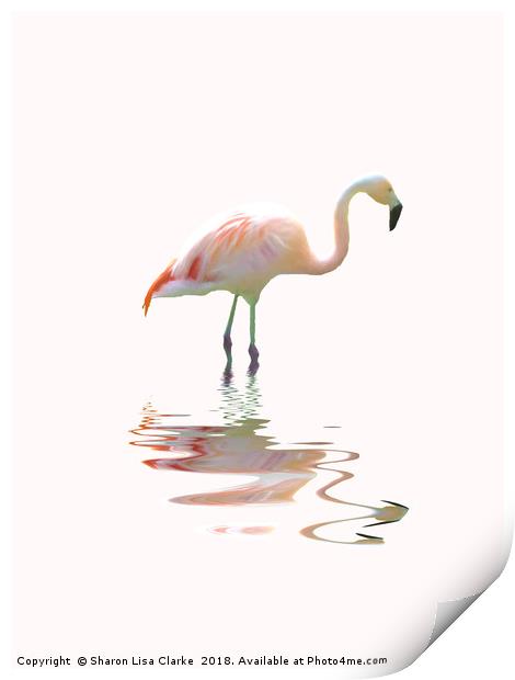 Simply flamingo Print by Sharon Lisa Clarke