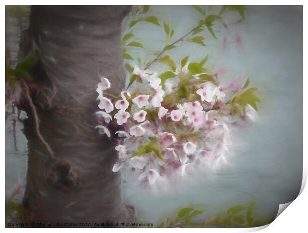 The Old Blossom Tree Print by Sharon Lisa Clarke