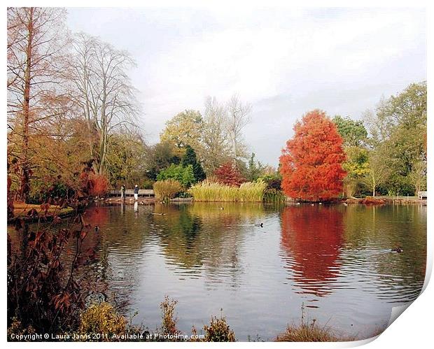 Autumn at Wisley Gardens. Print by Laura Jarvis