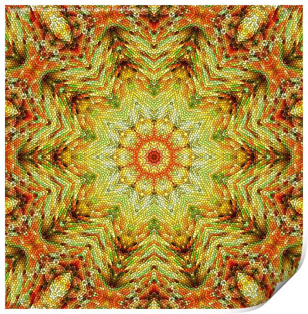 Tinsel Kaleidoscope Print by Laura Jarvis