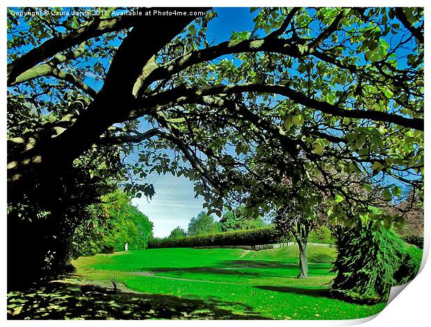 View through the Branches Print by Laura Jarvis