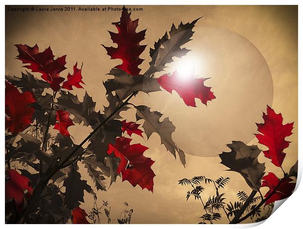 Red Oak leaves Print by Laura Jarvis