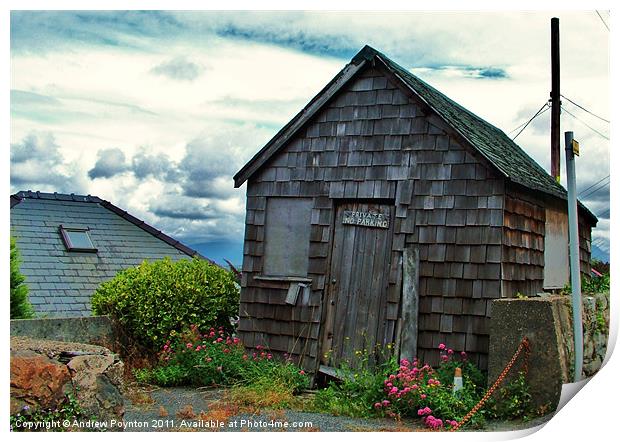 Weathered Shed Print by Andrew Poynton