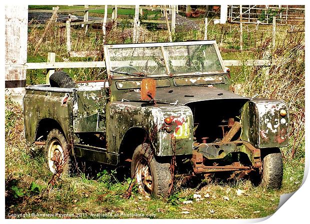 FORGOTTEN LAND ROVER Print by Andrew Poynton