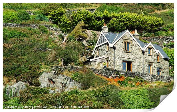 House on the hill Print by Andrew Poynton