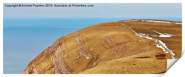 great orme Print by Andrew Poynton