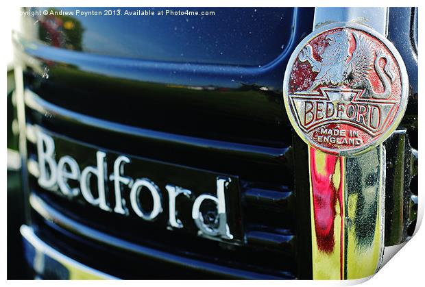 BEDFORD LORRY GRILL BADGE Print by Andrew Poynton