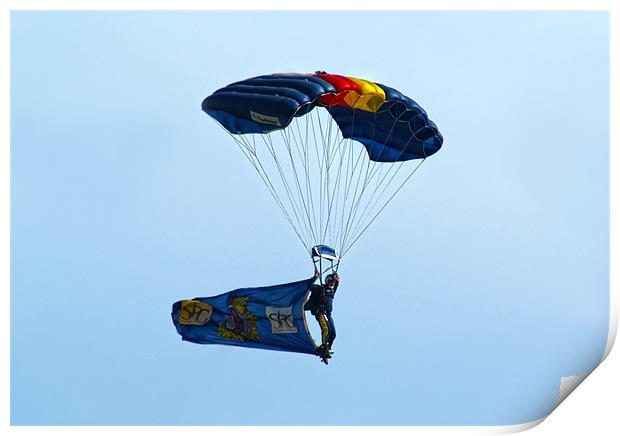 Displaying The Flag Print by Grant Paterson