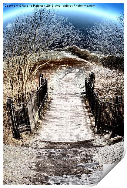 Bridge Of Sourlie Woods Print by Valerie Paterson