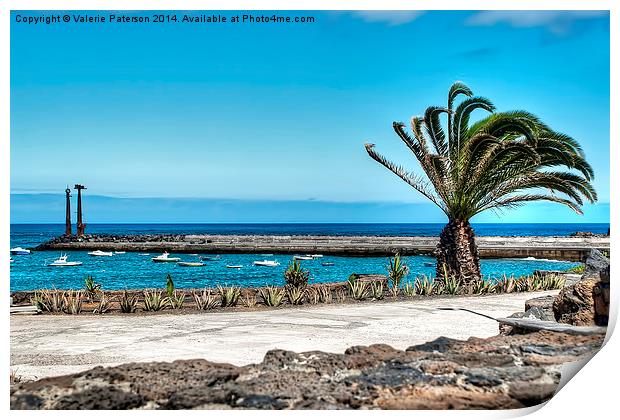 Costa Teguise Harbour Print by Valerie Paterson
