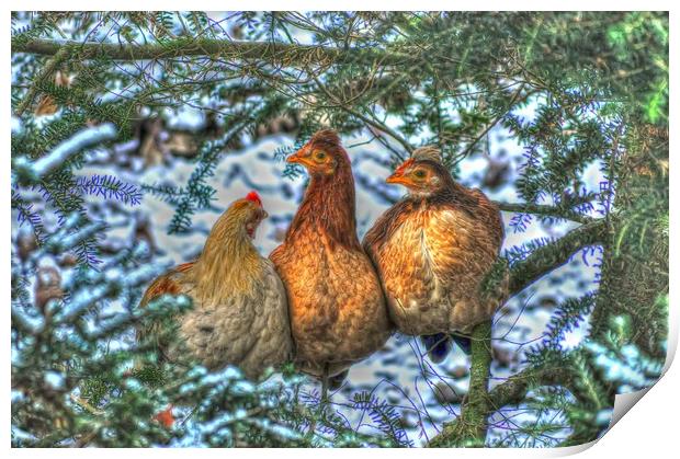 Three French Hens Print by Valerie Paterson
